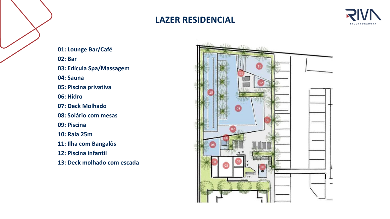 Planta 6