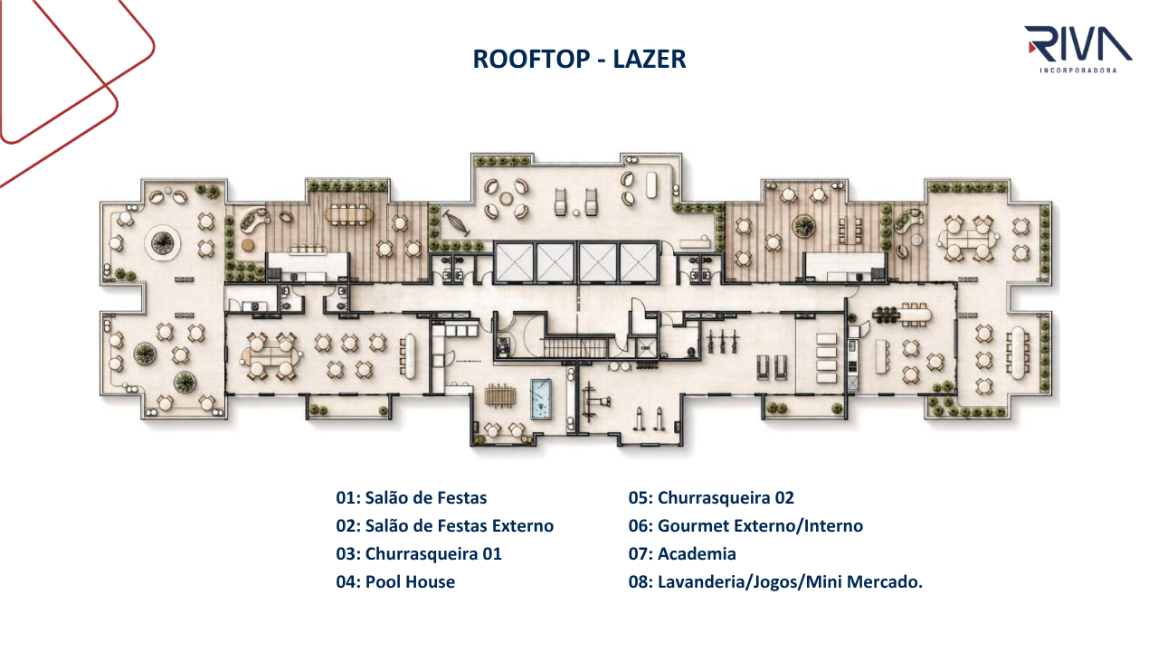 Planta 7